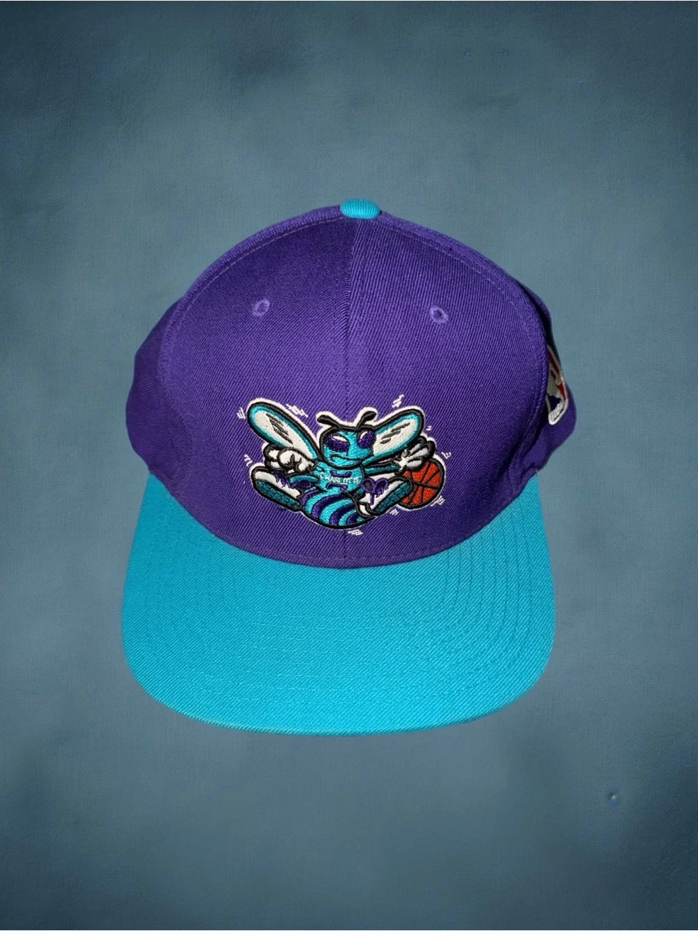 Mitchell & Ness Charlotte hornets hardwood classics adjustable strap snapback
